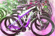 دوچرخه تایوانی کوهستانی رشت تعاونی