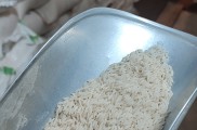 برنج هاشمی تالش 
